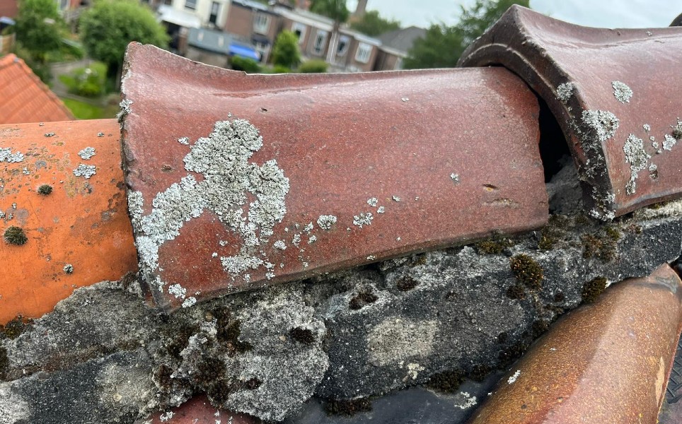 Dakdekker in de Achterhoek voert dakreparatie uit